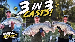 Insane Murray cod action | 3 in 3 casts + many more