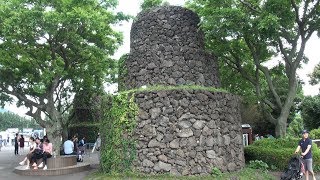 Camellia Hill, Jejudo, Korea (제주 동백언덕 카멜리아힐)