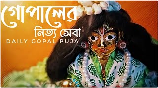 Laddu Gopal Daily puja and seba || গোপালের নিত্য সেবা ||