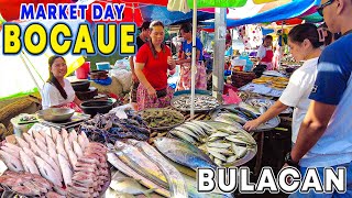 Navigating Bocaue's Bustling Public Market during 