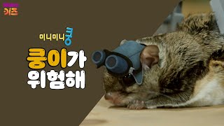 고양이 시루 옆에 나타난 하늘 다람쥐 쿵이!ㅣ2회. 쿵이가 위험해ㅣ귀여운 동물 친구들! 미니미니쿵ㅣKBS 방송