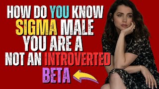 Are You a Sigma Male or an Introverted Beta? Here's How to Tell
