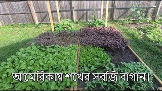 আমেরিকায় সবজি বাগান কিভাবে করবেন | Vegetables garden in America | USBanglaTube27