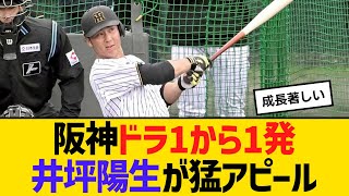 阪神ドラ1伊原陵人から1発、井坪陽生が猛アピール　藤川監督「目が輝いていた」【ネットの反応】【反応集】