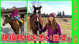 元競走馬、現役競馬時代を思い出す！？　do you remember when you were a racehorse?