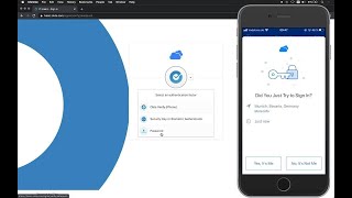 Passwordless Login - Live demo from IDM Europe