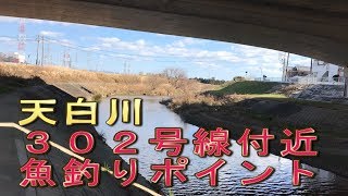 天白川　魚釣りポイント　３０２号線付近　名古屋市魚釣りポイント　小魚、ブラックバス釣り