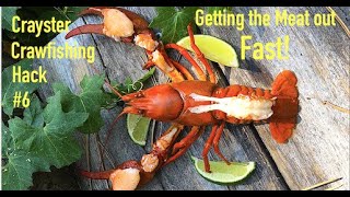 Shelling the Meat Out of Crawfish Fast  Hack #6  Crayfish Mudbugs