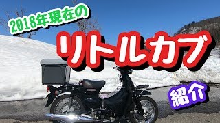 【ChickenMotovlog】リトルカブ2018年現在の仕様を簡単に紹介