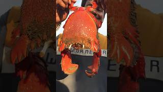 புது வகையான நண்டு #seafood #food #foodie #crab #crabs #youtubeshorts #shorts #shortsvideo #shots