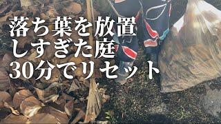 【掃除片付け】庭を放置してたら落ち葉がヤバすぎました