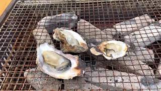 かき小屋での焼き牡蠣　島田水産（宮島口）