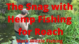 The Snag with Hemp Fishing for Roach