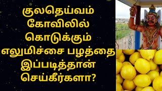 குலதெய்வம் கோவிலில் கொடுக்கும் எலுமிச்சை பழத்தை இப்படித்தான் செய்கீர்களா?