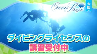 関西の海で人気のダイビングライセンスを取得しよう！日本海、和歌山で開催中。女性スタッフもいるので女性ひとりでも安心、好評受付中