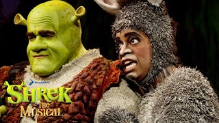 Don't Let Me Go | Shrek the Musical