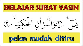 SURAT YASIN // BELAJAR NGAJI PELAN-PELAN // MUDAH DITIRU