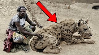 10 Extraordinary Pet Animals People Keep In Home
