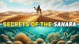 Ancient Ocean Under The Sahara