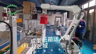 6轴柔性开箱装箱机器人系统6-axis flexible unpacking robot system