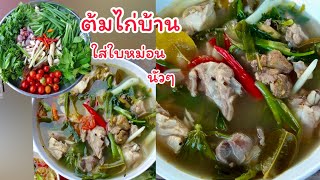 ต้มไก่บ้านใส่ใบหม่อนแซ่บๆนัวๆ