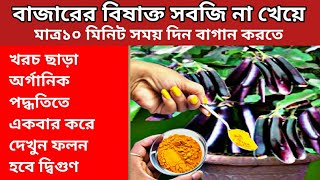 মাত্র ১০ মিনিট সময় দিয়ে অর্গানিক পদ্ধতিতে সবজি চাষ করুন খরচ ছাড়া জৈব উপায়ে সার ও কীটনাশক তৈরি