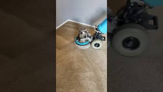 (VLM) Very Low Moisture Carpet Cleaning