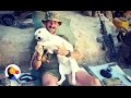 Marine Brings Dog Home From Afghanistan | The Dodo