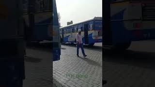 prtc gang ⚡⚔️ amazing bus shorts 🥀🥀 buses of bathinda 🥀🥀