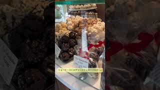 ローテンブルク名物！シュネーバル❄️雪の玉　ドイツお菓子　ロマンチック街道　ローテンブルク観光　ローテンブルクお土産　ローテンブルクおすすめ　ドイツ土産　ドイツ観光　バイエルン州　Schneeball