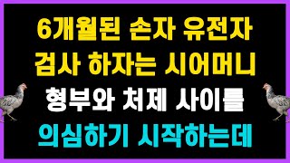 [실화사연] 손자 유전자검사 하자는 시어머니. 형부와 처제 사이를 의심하기 시작하는데... 친자확인검사를 하다니 |사이다사연|라디오연속극|사연읽어주는|드라마썰닭