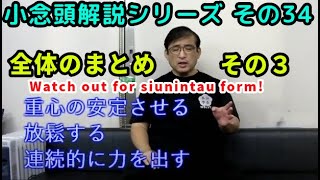 小念頭解説シリーズ その34 小念頭全体のまとめ その３ Watch out for siunintau Form!