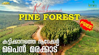 Kuttikanam Pine Forest, Peerumedu, Idukki, Kerala Tourism | Ramesh \u0026 Suresh Vlogs