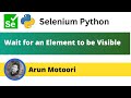 Wait for an Element to be Visible in Selenium Python (Selenium Python)