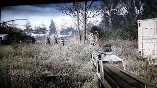 funny glitch in COD4 PS3