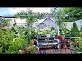 July Garden Tour in Zone 5a | Plants and Flowers in our Tiny Garden #garden #gardening #flowers #new