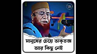 মানুষের চেয়ে আর কৃতজ্ঞ কিছু নেই।Nojrul_islam_kasemi_2025 ।New Waz MR HRIDOY HS ।