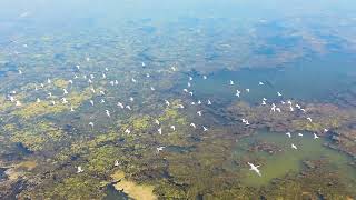 კუმისის ტბა / Kumisi Lake