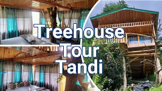 Treehouse Tour Tandi | Beautiful Treehouse | Tirthan Himachal Pradesh