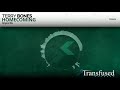 Terry Bones - Homecoming (Original Mix - Preview) [Transfused Records 003] Available on Feb. 9th