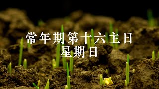 【每日圣言】2023年7月23日 星期日（甘天霖神父讲道）