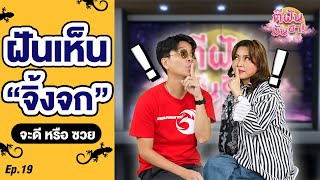 “ฝันเห็นจิ้งจก จะดีหรือซวย?” ตีฝันมันฮา EP.19