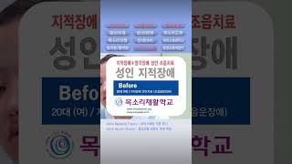 지적장애3급언어치료 조음음운장애 조음치료 청각장애 청능훈련 경계선지능 intellectual disability 정신지체 언어발달장애 표현언어 성인언어치료  목소리재활학교