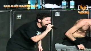 System Of A Down - Toxicity @ Big Day Out 2002 [HD]