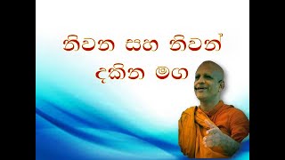 Niwanata Maga/නිවනට මග/ogadeepa vlogs/sri lanka.