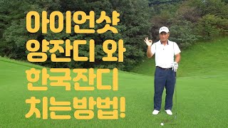 아이언샷 세컨샷칠때 양잔디 와 한국잔디 구별해서 치는방법 여기있어요 01054786658 용아저씨리뷰