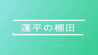 2020年7月４日　蓬平の棚田