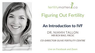 Figuring Out Fertility: An Introduction to IVF