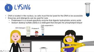 Pre Lab Video - Silica-based Chromatography Spin Column