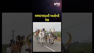 તમિલનાડુના કોવિલપટ્ટીમાં પોંગલના તહેવાર નિમિત્તે બળદગાડાની રેસ યોજાઈ